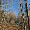 11 b Rund um Ellwangen